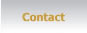 Click here to view the Contact section.